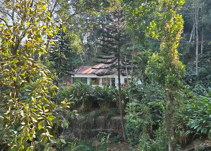 Anivilla Holiday Home Kunjithanny