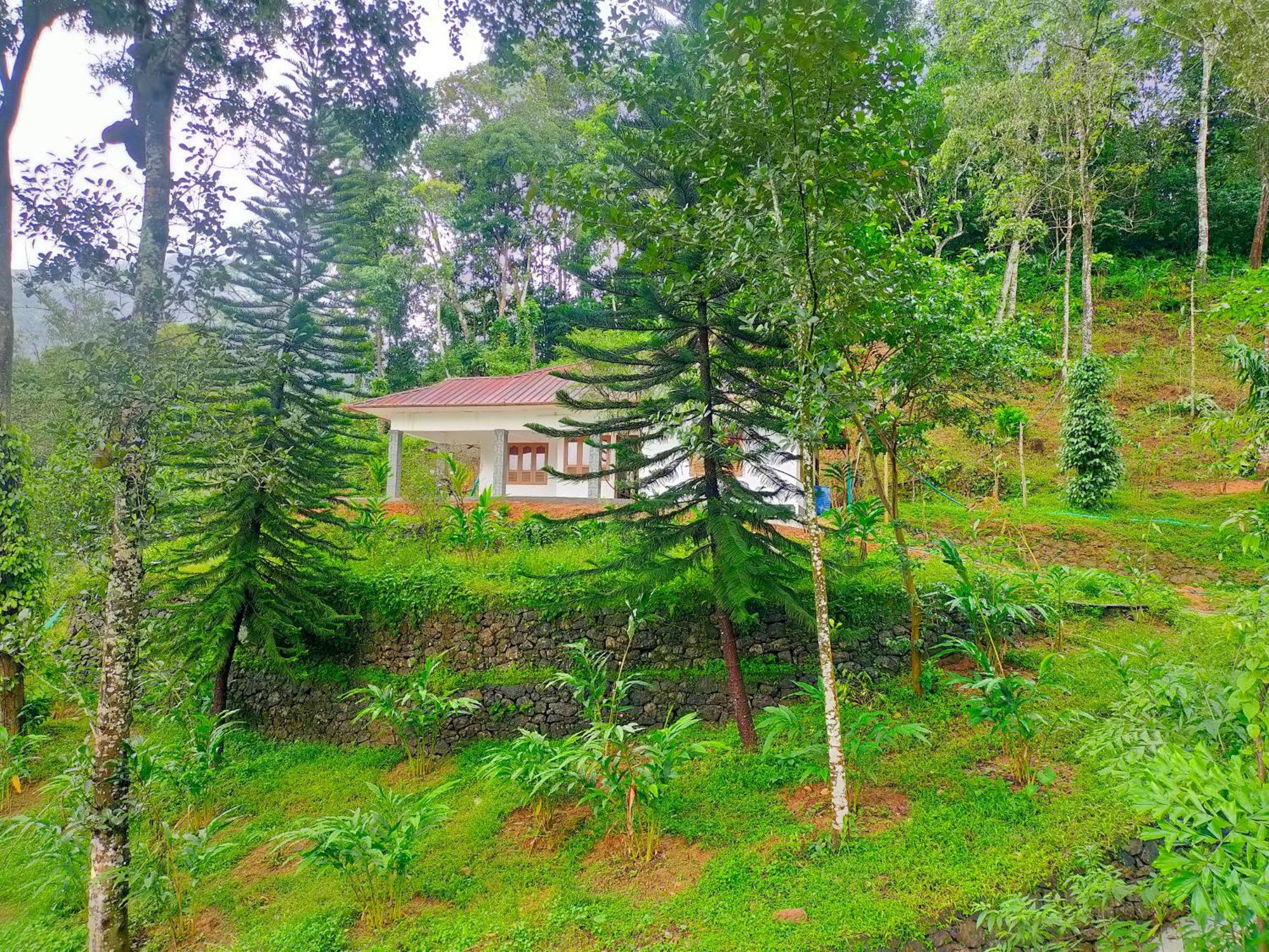 Anivilla Kunjithanny Anachal