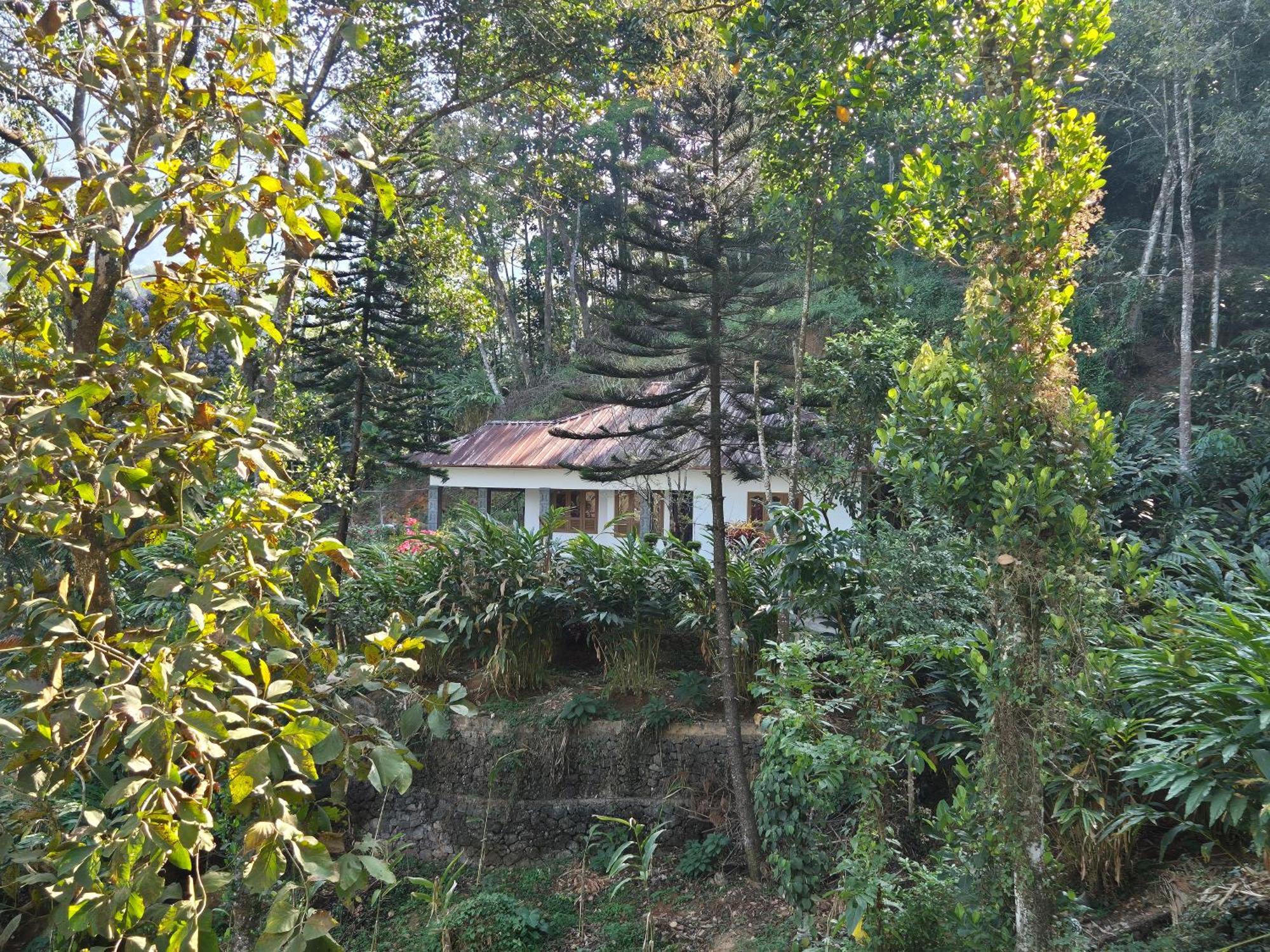 Anivilla Kunjithanny * Anachal