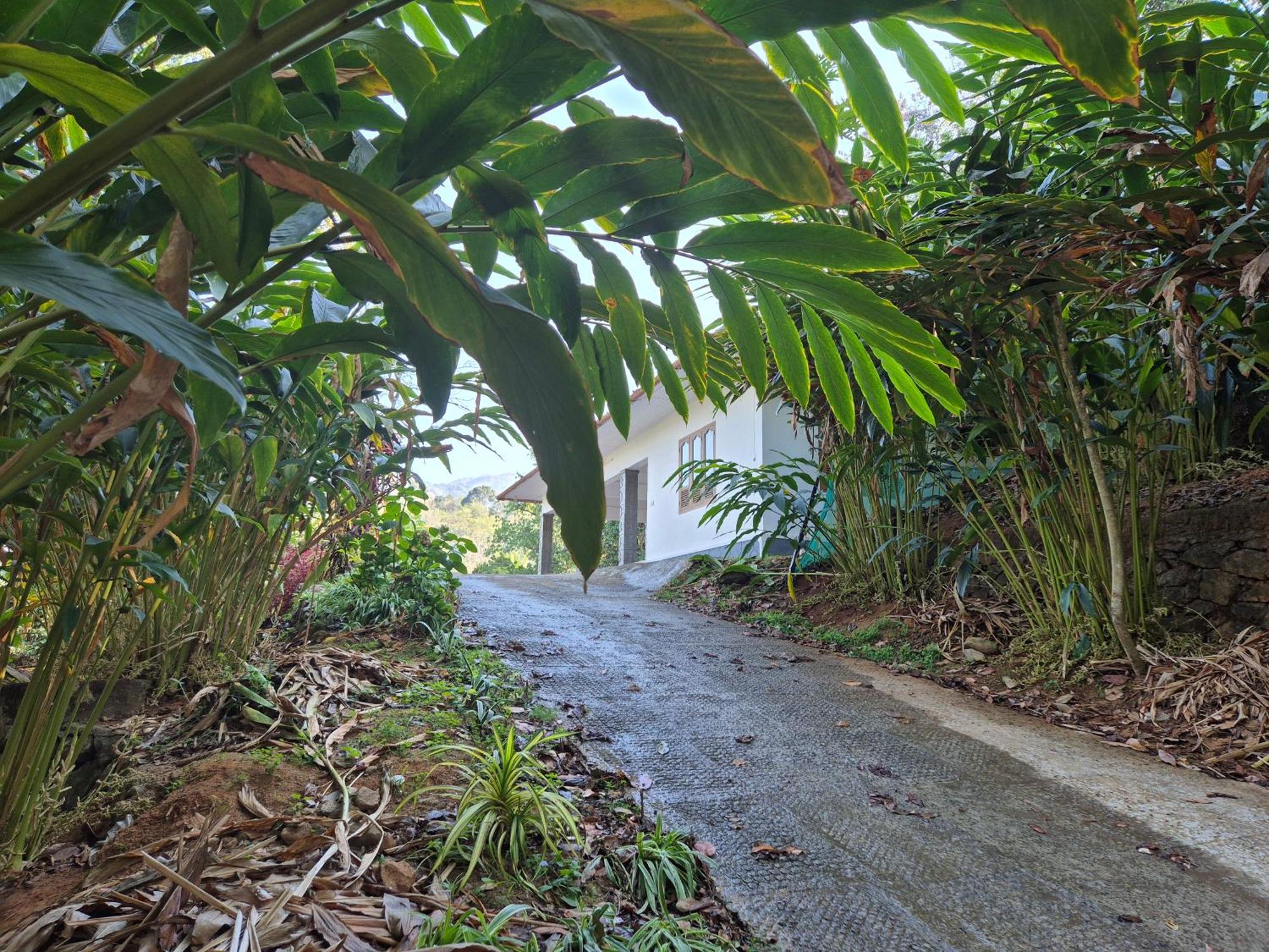 Anivilla Kunjithanny Holiday home