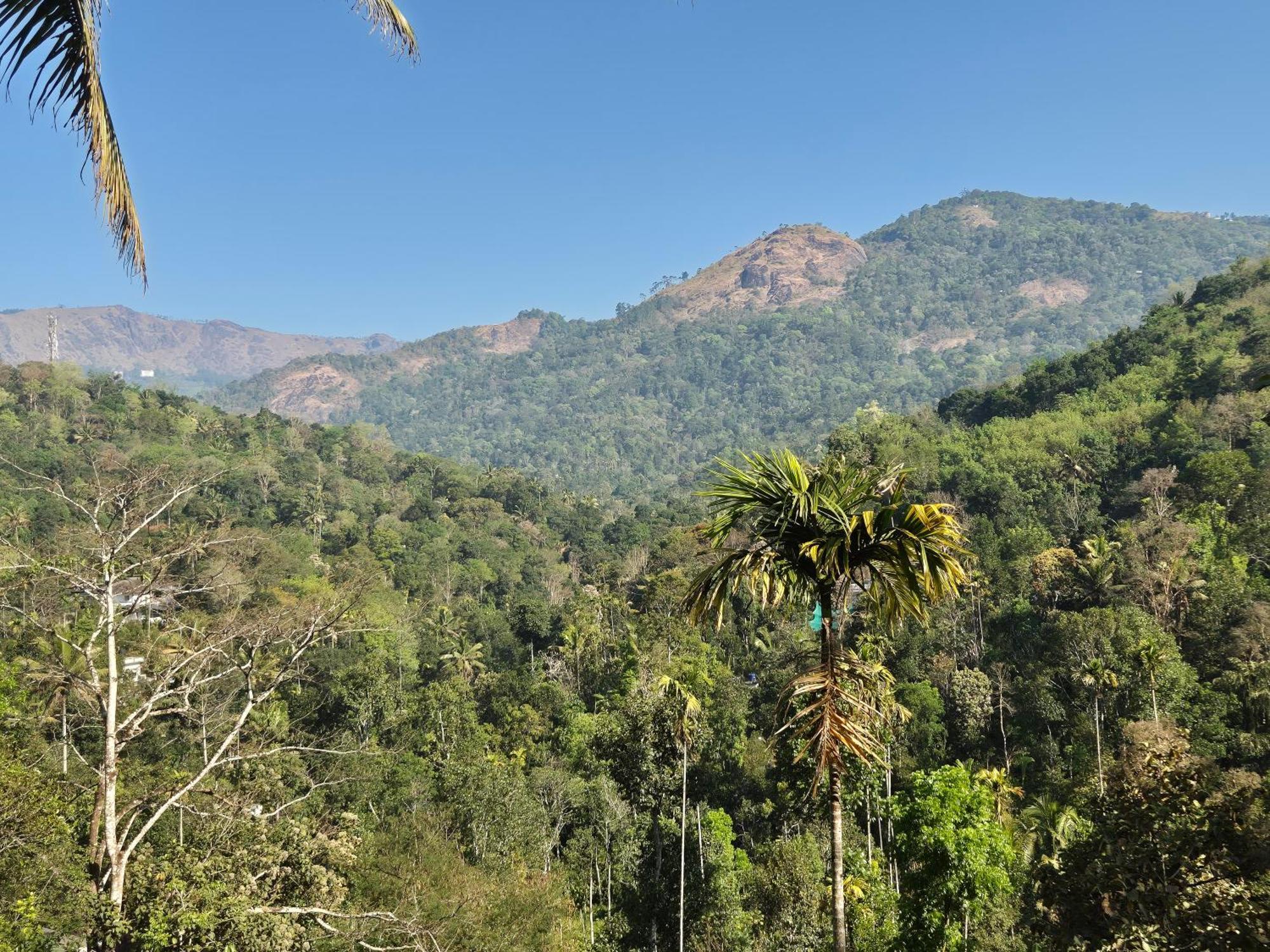 Anivilla Kunjithanny